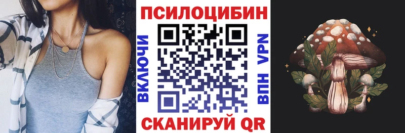 Купить  Новосокольники  Галлюциногенные грибы Psilocybine cubensis 