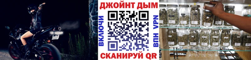 Бошки Шишки планчик  Купить  Новосокольники 